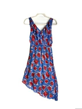 RACHEL Rachel Roy Blue Dress with Red Floral Motif